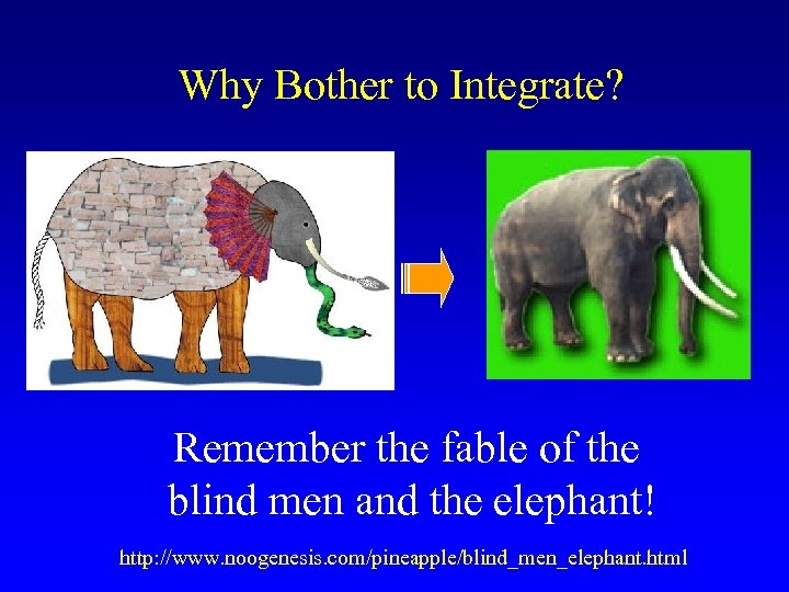 Why Bother to Integrate? Remember the fable of the blind men and the elephant!