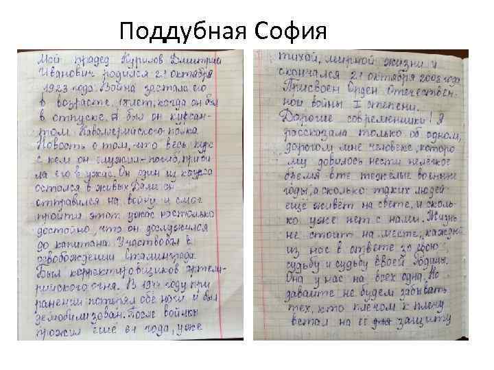 Поддубная София 