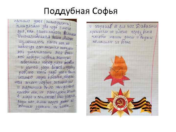 Поддубная Софья 