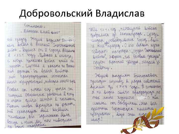 Добровольский Владислав 