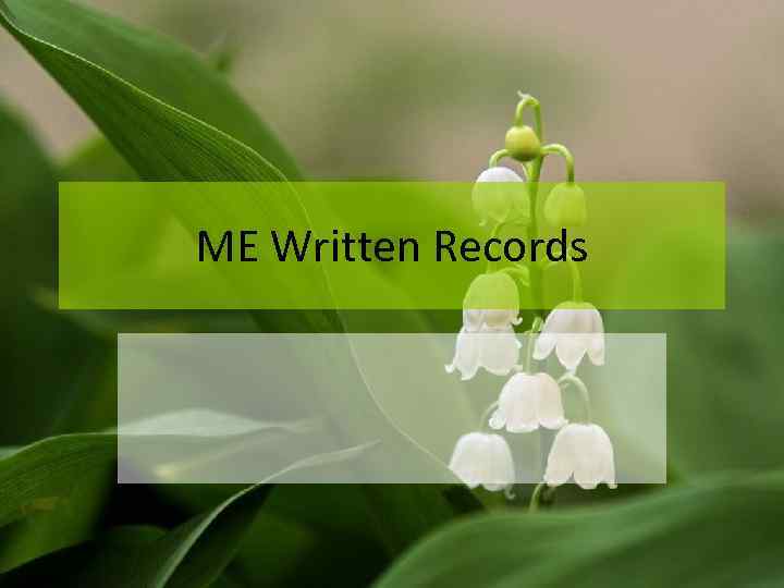 ME Written Records 