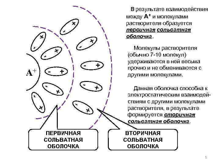 + + + - - А+ - - + - В результате взаимодействия между