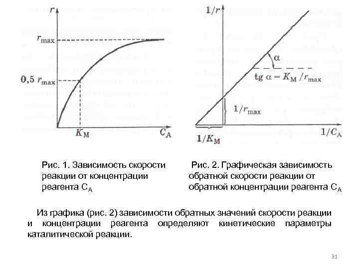 Рис. 1. Зависимость скорости реакции от концентрации реагента СА Рис. 2. Графическая зависимость обратной