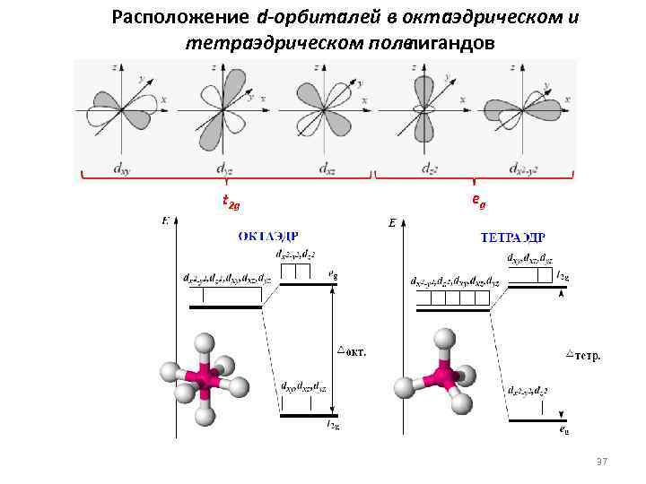 Расположение d-орбиталей в октаэдрическом и тетраэдрическом поле лигандов t 2 g eg 37 