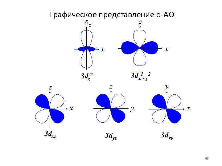 Графическое представление d-АО z z z x x 3 dx 2 - y 2