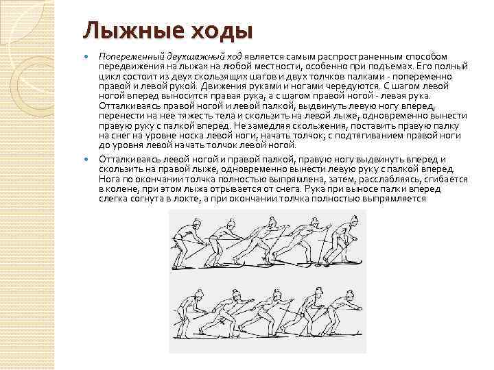 Лыжные ходы Попеременный двухшажный ход является самым распространенным способом передвижения на лыжах на любой