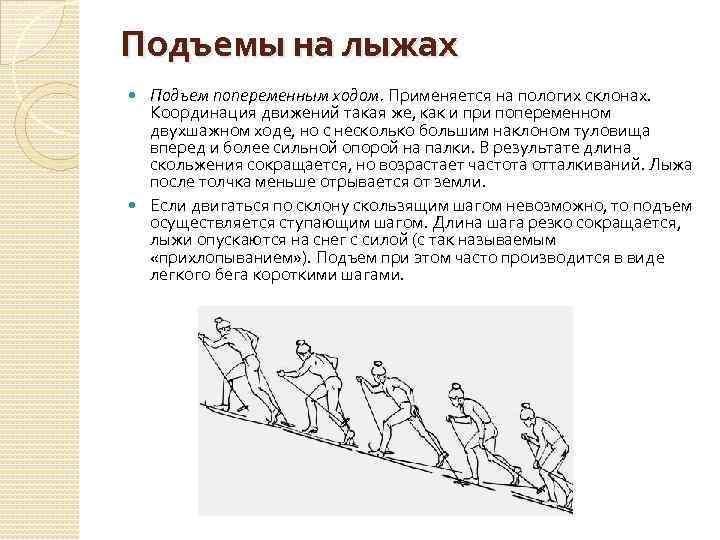 Подъемы на лыжах Подъем попеременным ходом. Применяется на пологих склонах. Координация движений такая же,