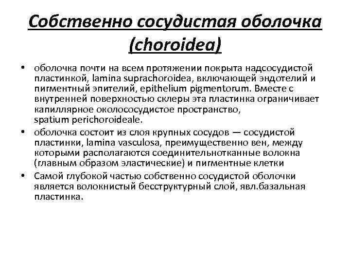 Собственно сосудистая оболочка (choroidea) • оболочка почти на всем протяжении покрыта надсосудистой пластинкой, lamina