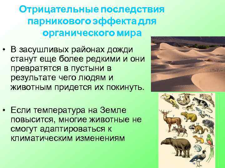 Отрицательные последствия парникового эффекта для органического мира • В засушливых районах дожди станут еще