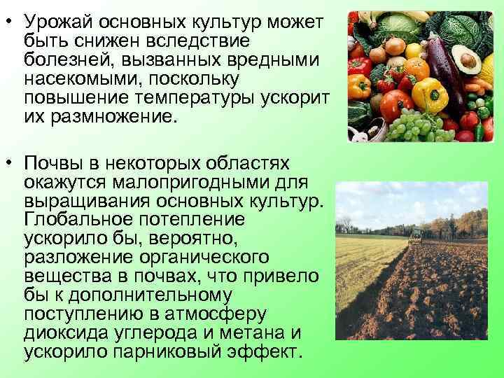  • Урожай основных культур может быть снижен вследствие болезней, вызванных вредными насекомыми, поскольку