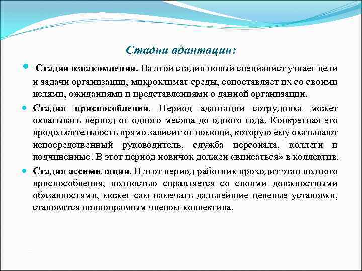 Стадии адаптации: Стадия ознакомления. На этой стадии новый специалист узнает цели и задачи организации,