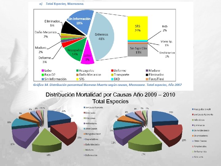 Distribución Mortalidad por Causas Año 2009 – 2010 Total Especies 