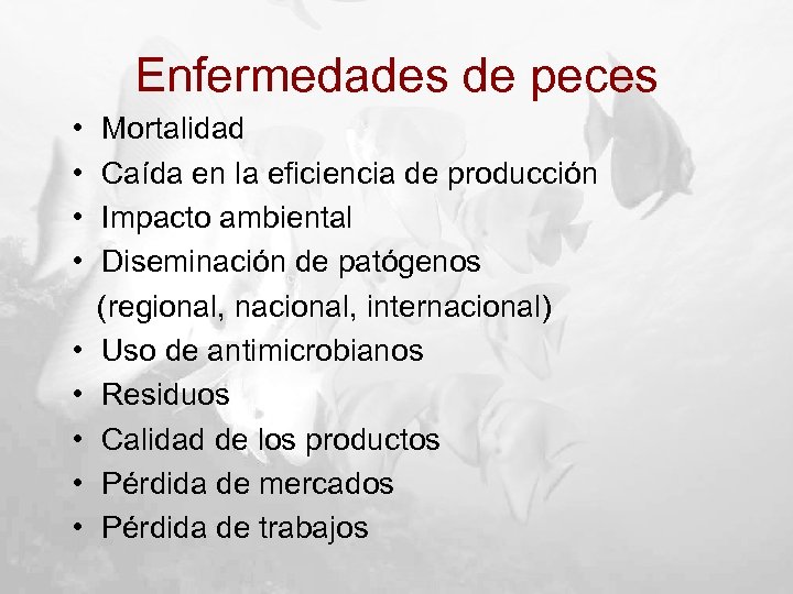 Enfermedades de peces • • • Mortalidad Caída en la eficiencia de producción Impacto