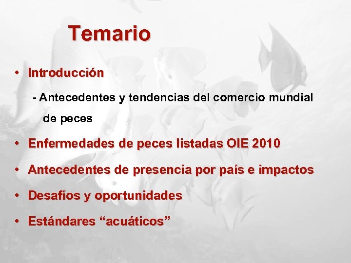 Temario • Introducción - Antecedentes y tendencias del comercio mundial de peces • Enfermedades