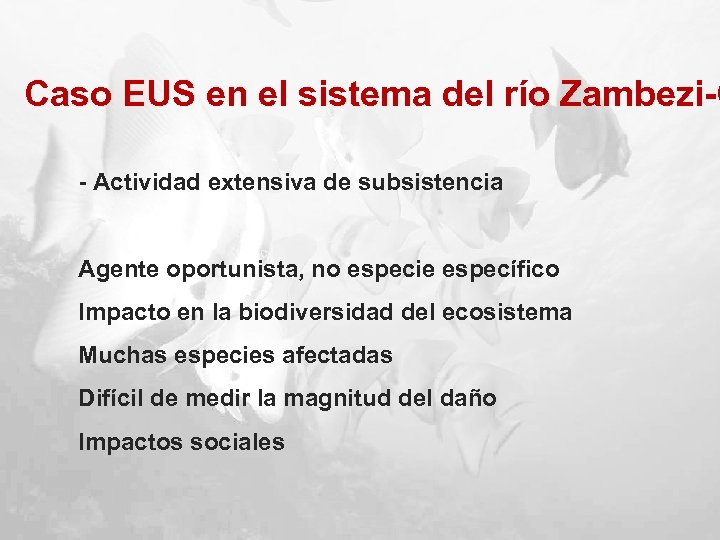 Caso EUS en el sistema del río Zambezi-C - Actividad extensiva de subsistencia Agente