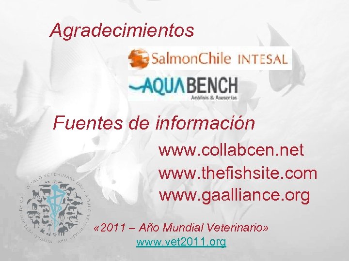 Agradecimientos Fuentes de información www. collabcen. net www. thefishsite. com www. gaalliance. org «