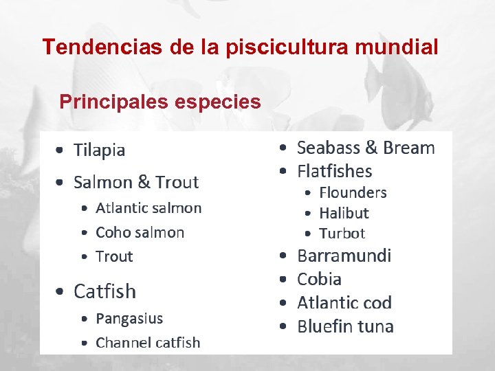 Tendencias de la piscicultura mundial Principales especies 