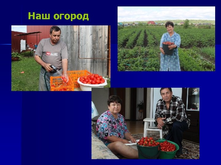 Наш огород 