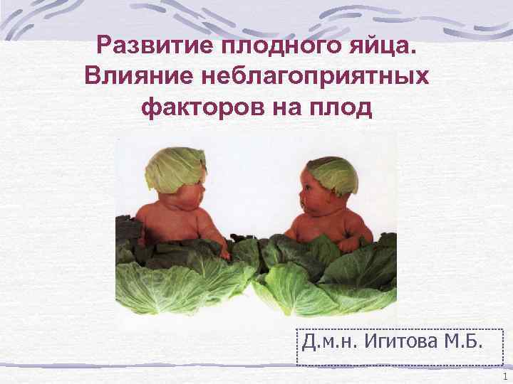 Развитие плодного яйца. Влияние неблагоприятных факторов на плод Д. м. н. Игитова М. Б.