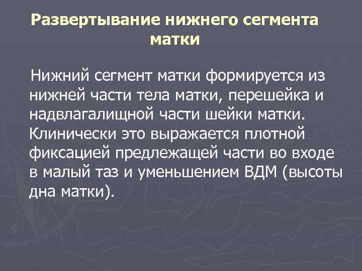 Нижний сегмент. Развертывание Нижнего сегмента матки. Нижний сегмент матки формируется. Формирование Нижнего сегмента матки.