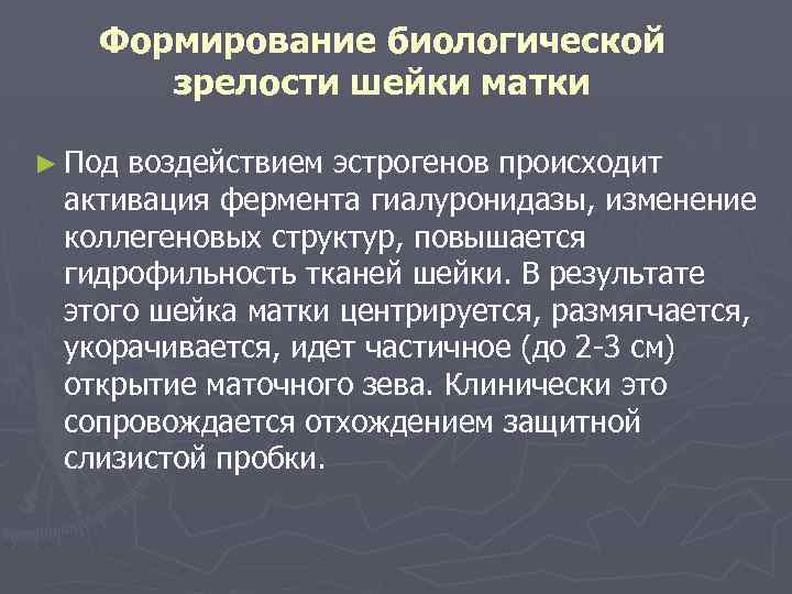 Формирование биологической зрелости шейки матки ► Под воздействием эстрогенов происходит активация фермента гиалуронидазы, изменение