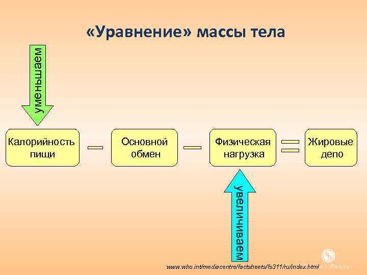 уменьшаем «Уравнение» массы тела Калорийность пищи Основной обмен Физическая нагрузка Жировые депо увеличиваем www.