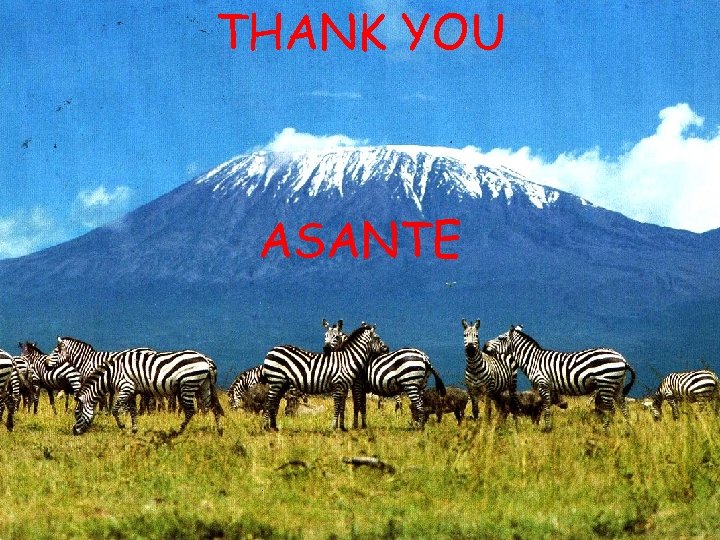 THANK YOU ASANTE 