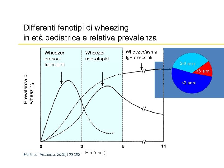 Differenti fenotipi di wheezing in età pediatrica e relativa prevalenza Wheezer precoci transienti Wheezer