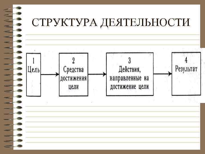 СТРУКТУРА ДЕЯТЕЛЬНОСТИ 