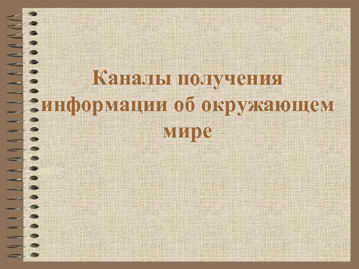 Каналы получения информации об окружающем мире 