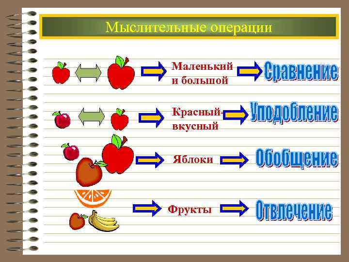 Мыслительные операции Маленький и большой Красныйвкусный Яблоки Фрукты 