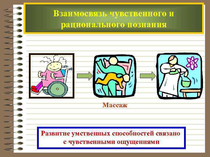 Взаимосвязь чувственного и рационального познания Массаж Развитие умственных способностей связано с чувственными ощущениями 