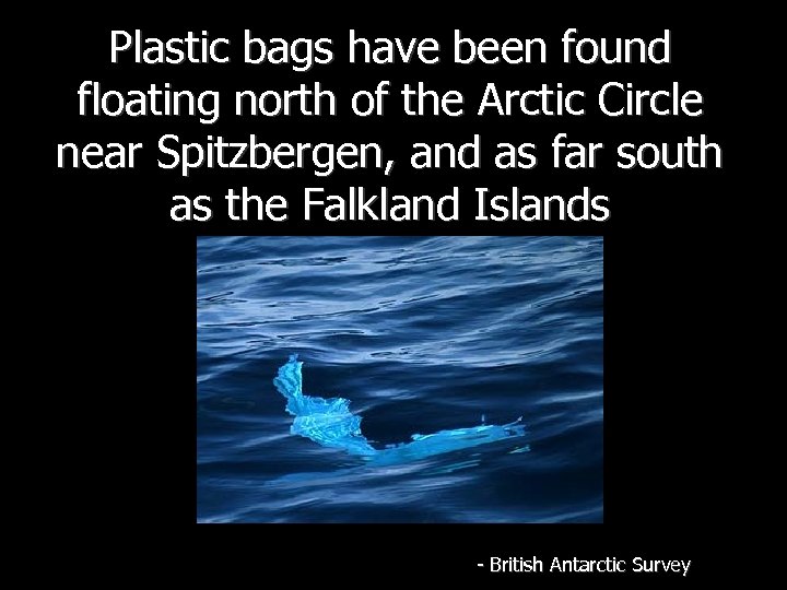 Plastic bags have been found floating north of the Arctic Circle near Spitzbergen, and