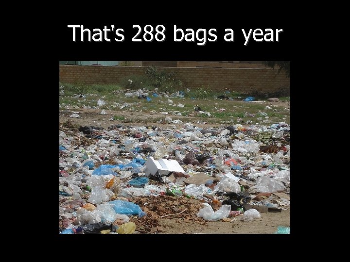 That's 288 bags a year 