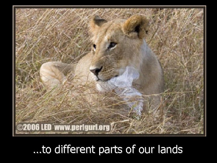 …to different parts of our lands 