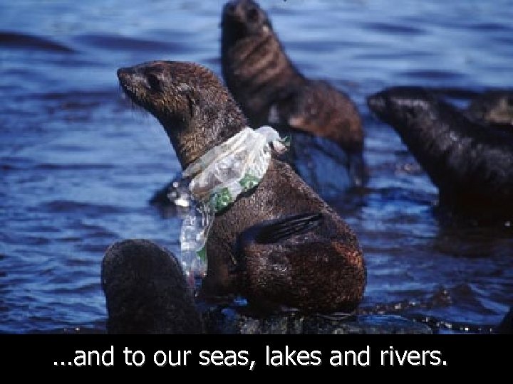 …and to our seas, lakes and rivers. 