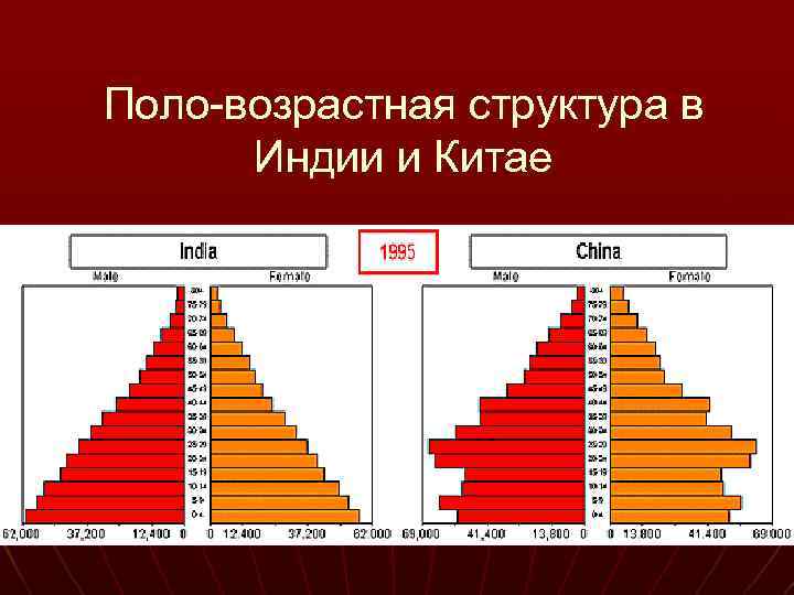 Состав индии. Возрастно половая пирамида Индии. Возрастно-половая пирамида Японии 2019. Половозрастная структура Индии 2020.