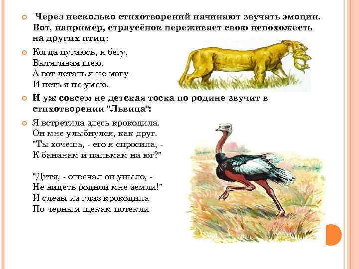  Через несколько стихотворений начинают звучать эмоции. Вот, например, страусёнок переживает свою непохожесть на
