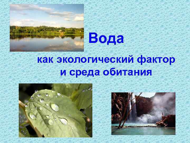 Вода как экологический фактор и среда обитания 