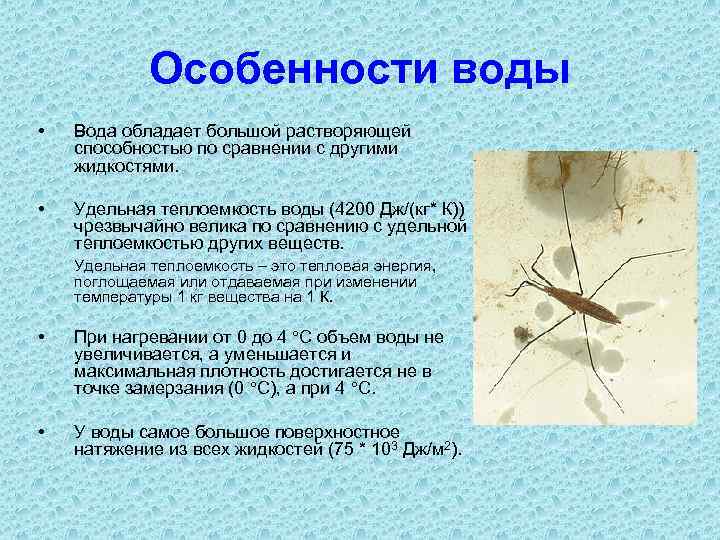Особенности воды • Вода обладает большой растворяющей способностью по сравнении с другими жидкостями. •