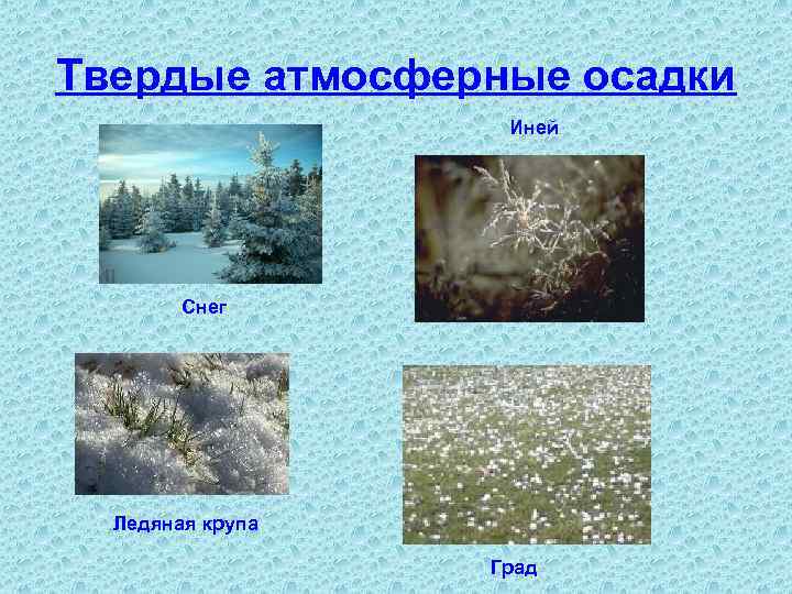 Период осадков. Твердые осадки. Иней атмосферные осадки. Твердые атмосферные осадки. Иней это осадки.