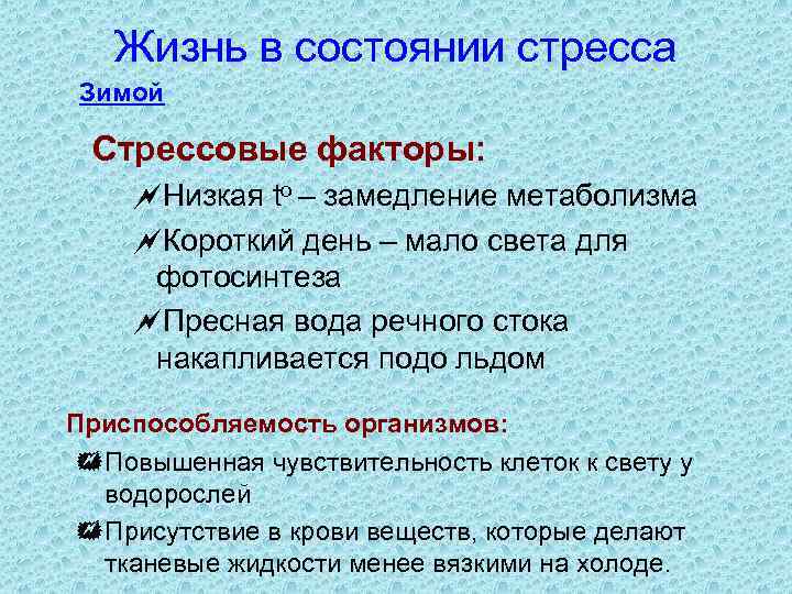 Жизнь в состоянии стресса Зимой Стрессовые факторы: ~Низкая tо – замедление метаболизма ~Короткий день