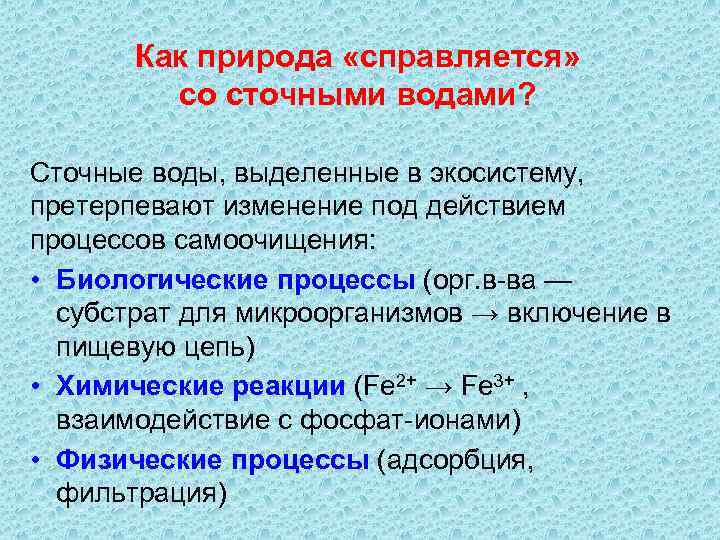 Как природа «справляется» со сточными водами? Сточные воды, выделенные в экосистему, претерпевают изменение под