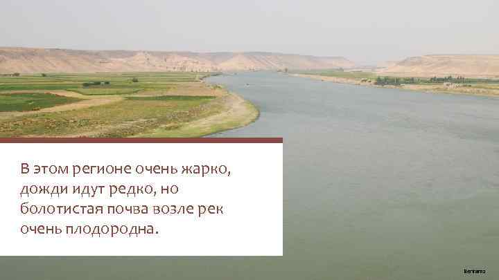 В этом регионе очень жарко, дожди идут редко, но болотистая почва возле рек очень