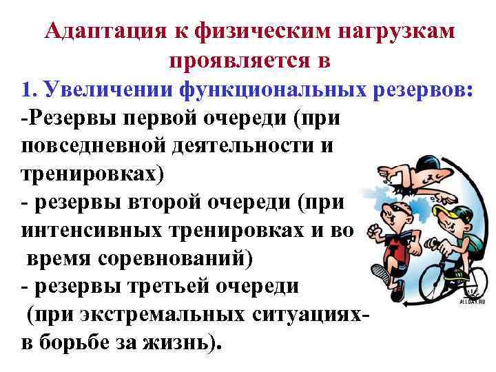 Адаптация к физическим нагрузкам проявляется в 1. Увеличении функциональных резервов: -Резервы первой очереди (при