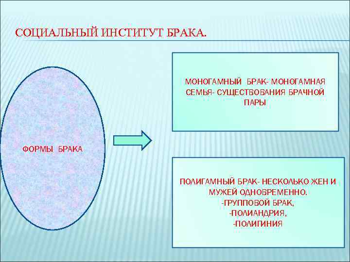 Брачно семейные институты. Социальный институт брака. Брак как социальный институт. Понятие институт брака и семьи. Функции брака как социального института.