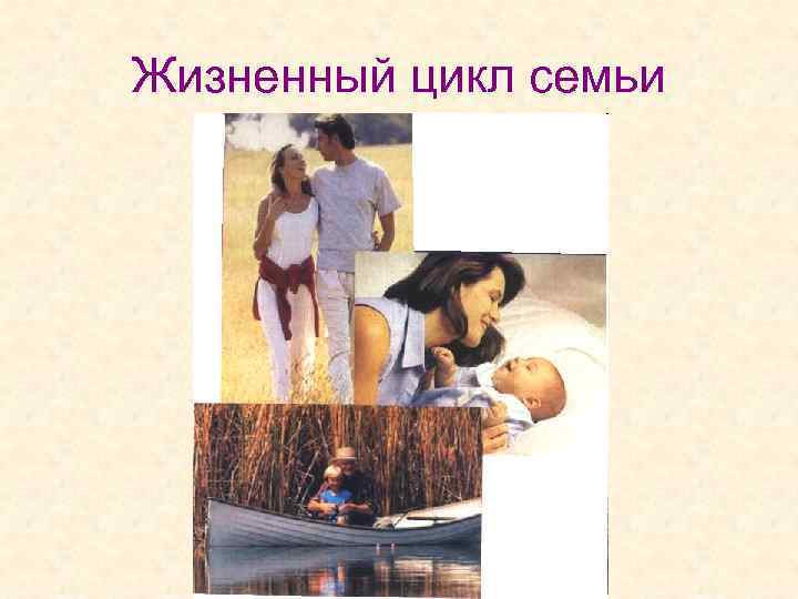 Жизненный цикл семьи 