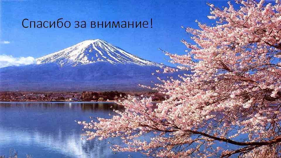 Спасибо за внимание! 