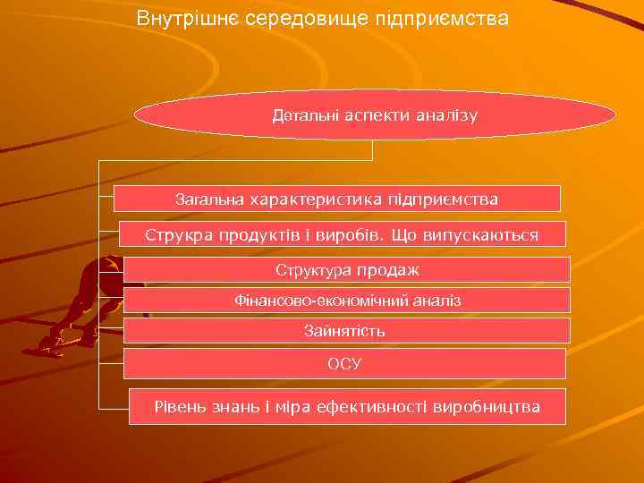 Внутрішнє середовище підприємства Детальні аспекти аналізу Загальна характеристика підприємства Струкра продуктів і виробів. Що