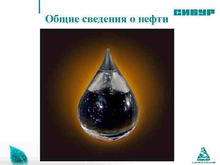 Поведенческие компетенции Общие сведения о нефти 